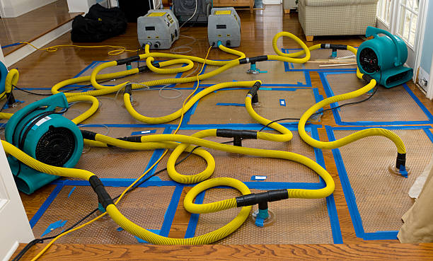 Professional Basement Flood Cleanup technician working in Butterfield, MN